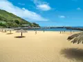 Słoneczne madera plaże z palmowymi parasolami i ludźmi bawiącymi się na piasku. W tle błękitne morze i górzyste wybrzeże.