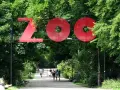 Wejście do największego zoo w Polsce. Ludzie spacerują alejką wśród zieleni.