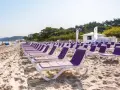 Rzędy fioletowych leżaków na piaszczystej plaży nad morzem.