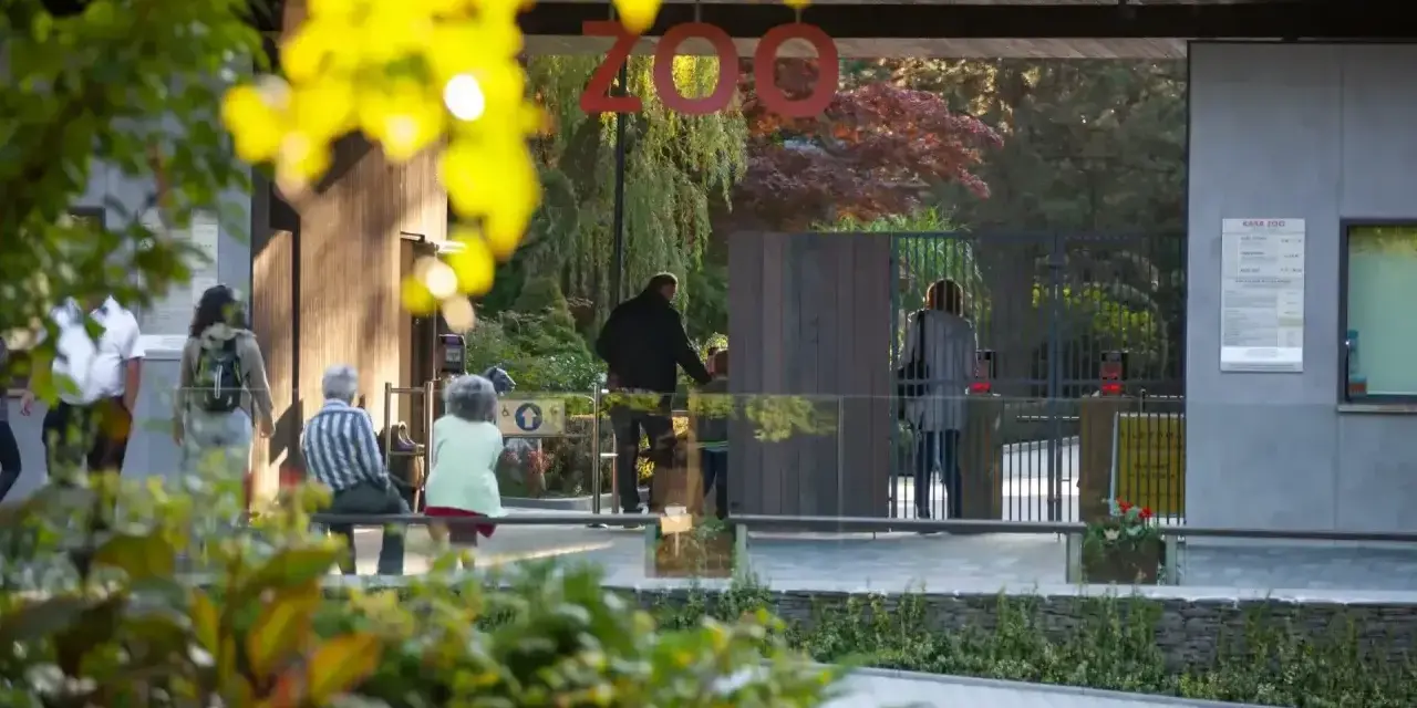 Wejście do zoo w Polsce. Ludzie wchodzą przez bramę, a nad nimi wisi napis "ZOO".