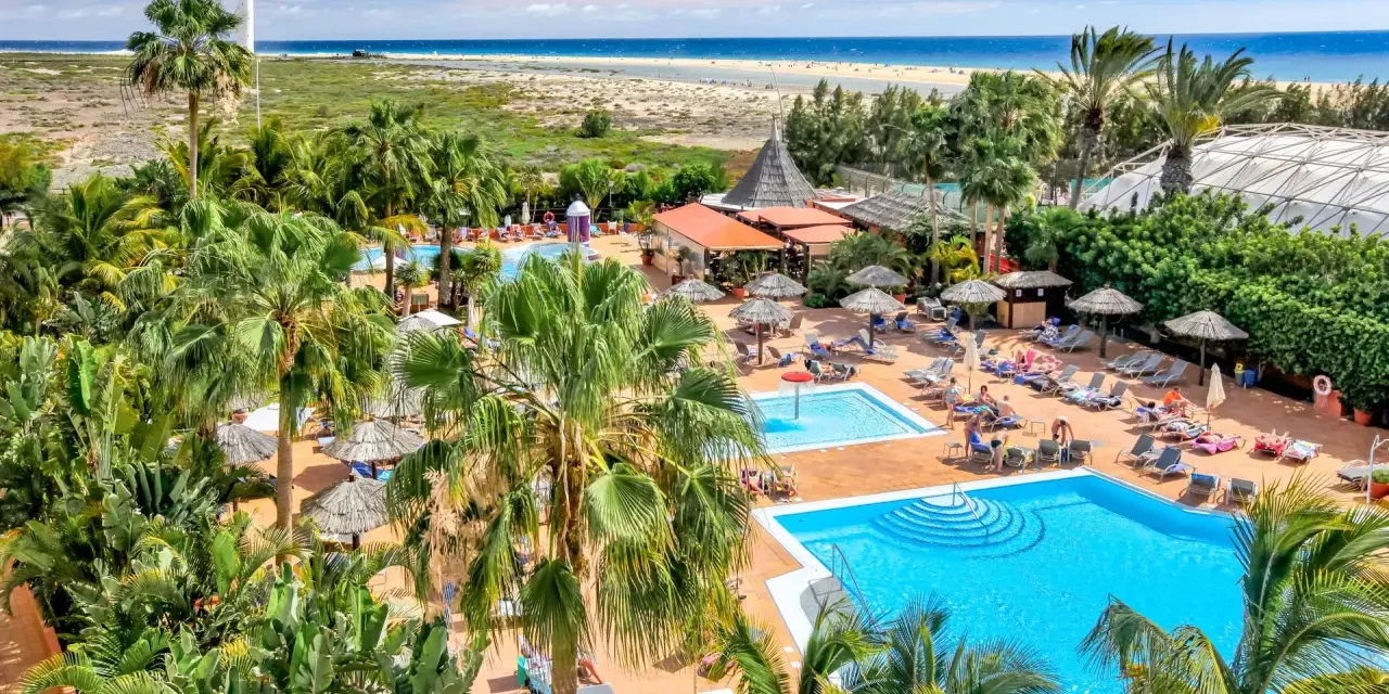 Relaks przy basenach hotelu IFA Altamarena, z palmami i widokiem na ocean.