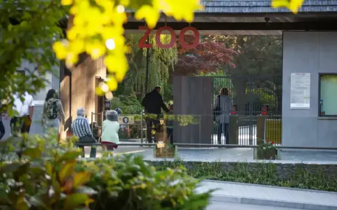 Wejście do zoo w Polsce. Ludzie wchodzą przez bramę, a nad nimi wisi napis "ZOO".