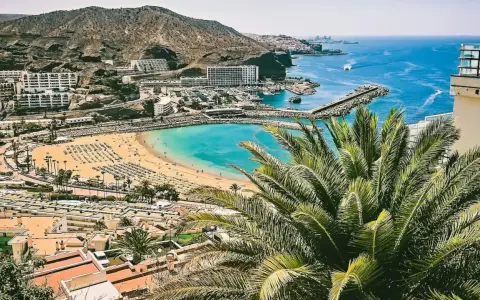Widok na zatokę z plażą i palmami. Zastanawiasz się, ile się leci na Wyspy Kanaryjskie, by zobaczyć takie krajobrazy?