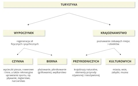 Schemat przedstawia rodzaje turystyki: wypoczynek (czynny, bierny) i krajoznawstwo (przyrodnicze, kulturowe). Odkrywaj walory turystyczne!