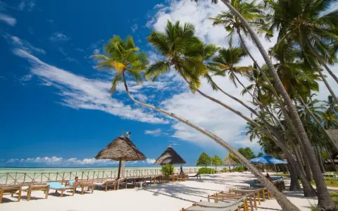 Rajska plaża na Zanzibarze, palmy, leżaki i turkusowe morze. Zastanawiasz się, ile się leci na Zanzibar? To podróż marzeń!
