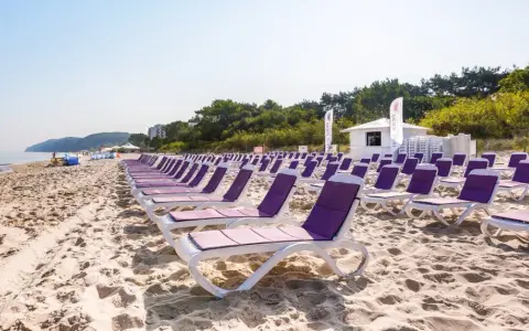 Rzędy fioletowych leżaków na piaszczystej plaży nad morzem.