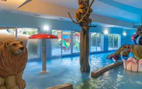 Wesoły aquapark w Karpaczu z lwem i małpką. Sprawdź aktualny aquapark Karpacz cennik i zaplanuj rodzinny wypad!