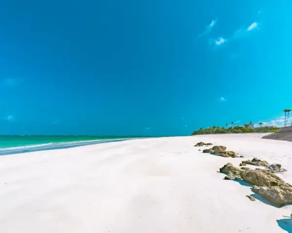 Piękna plaża w Kenii, idealna na wakacje. Kiedy jechać? Najlepiej w porze suchej, od czerwca do października.