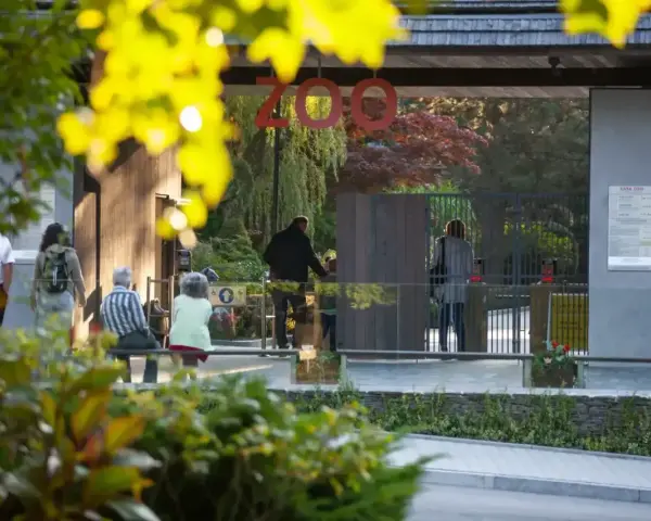 Wejście do zoo w Polsce. Ludzie wchodzą przez bramę, a nad nimi wisi napis "ZOO".