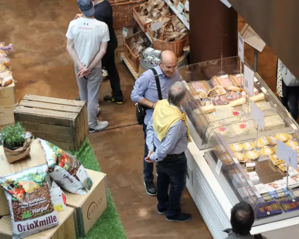 Triest gdzie zjeść - najlepsze lokalne restauracje i smaki miasta