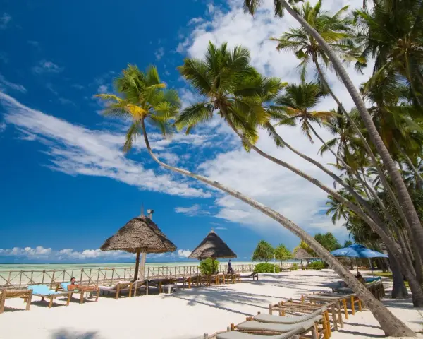Rajska plaża na Zanzibarze, palmy, leżaki i turkusowe morze. Zastanawiasz się, ile się leci na Zanzibar? To podróż marzeń!