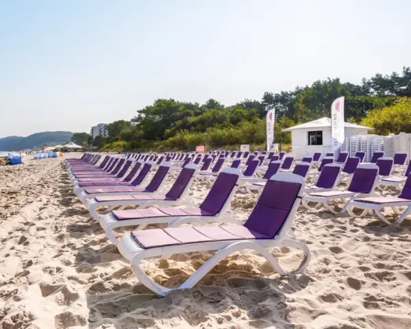 Rzędy fioletowych leżaków na piaszczystej plaży nad morzem.
