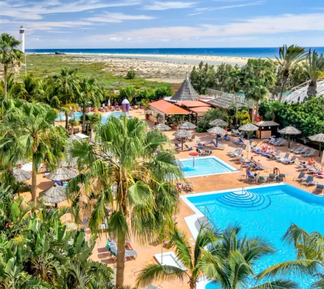 Relaks przy basenach hotelu IFA Altamarena, z palmami i widokiem na ocean.