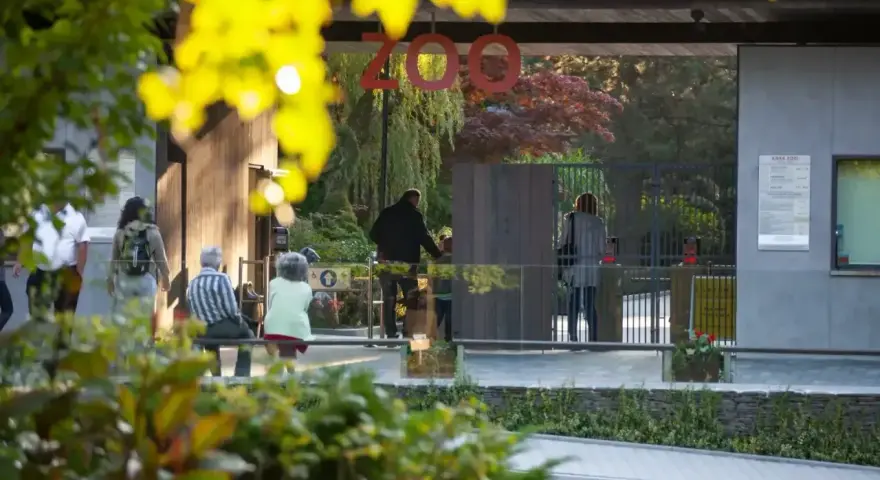 Wejście do zoo w Polsce. Ludzie wchodzą przez bramę, a nad nimi wisi napis "ZOO".