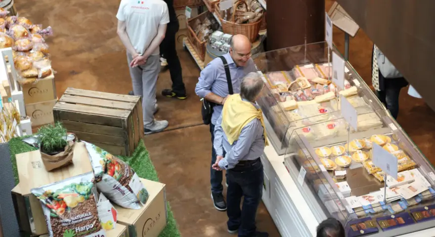 Triest gdzie zjeść - najlepsze lokalne restauracje i smaki miasta