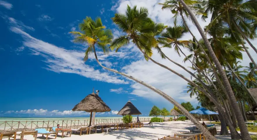 Rajska plaża na Zanzibarze, palmy, leżaki i turkusowe morze. Zastanawiasz się, ile się leci na Zanzibar? To podróż marzeń!