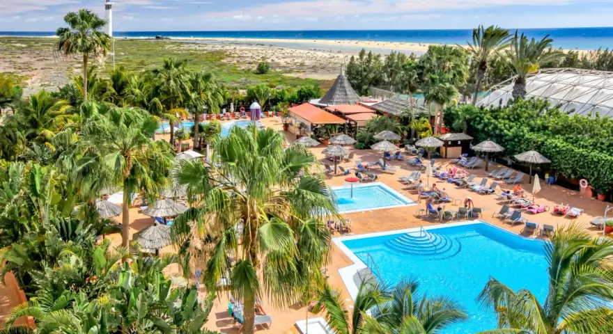 Relaks przy basenach hotelu IFA Altamarena, z palmami i widokiem na ocean.