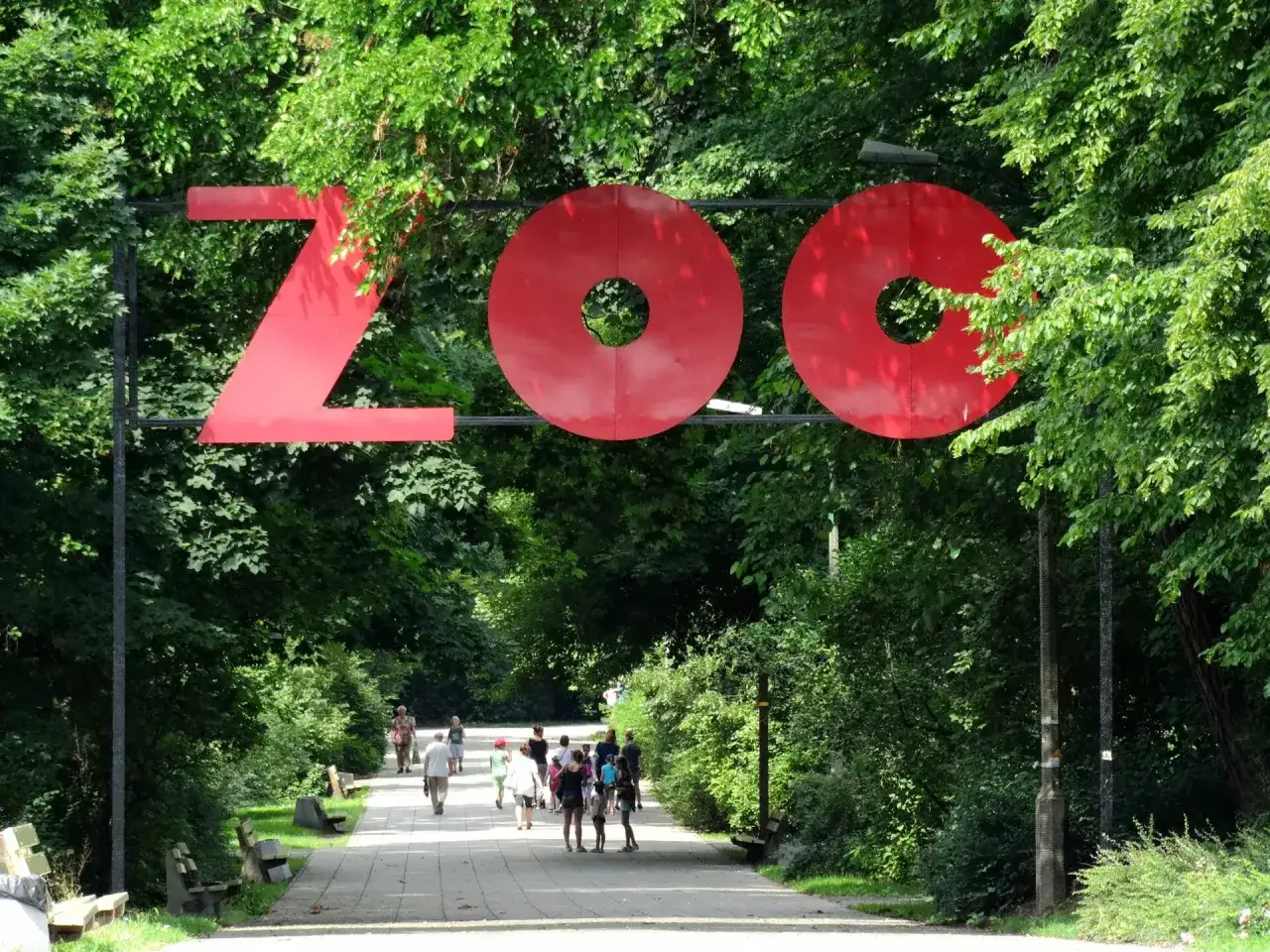 Wejście do największego zoo w Polsce. Ludzie spacerują alejką wśród zieleni.