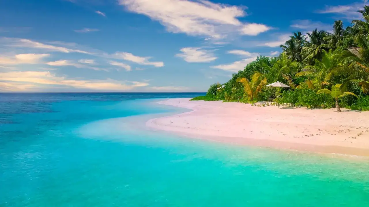 Rajska plaża z turkusową wodą, różowym piaskiem i palmami. Idealne miejsce na wakacje.