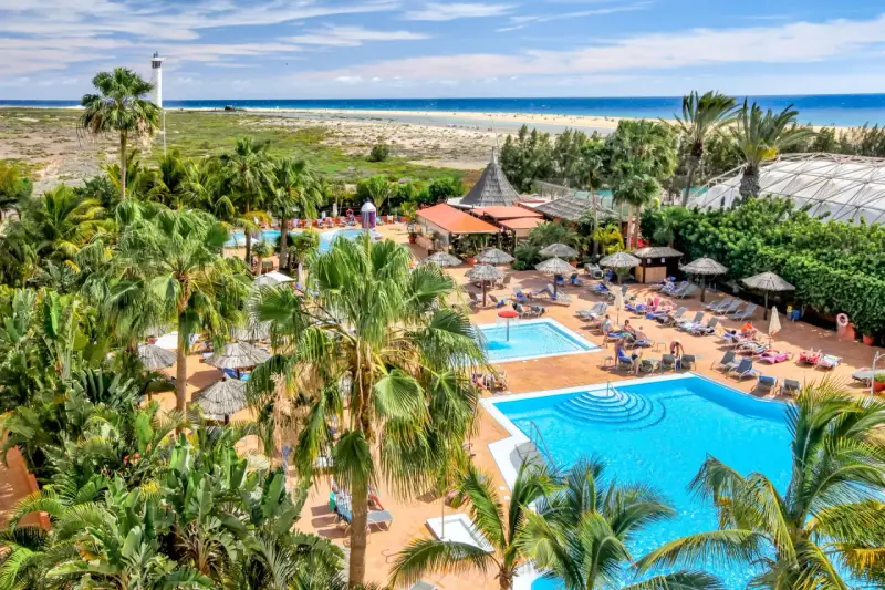 Relaks przy basenach hotelu IFA Altamarena, z palmami i widokiem na ocean.